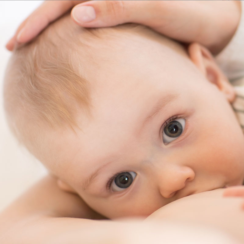 Lactation_Support_01